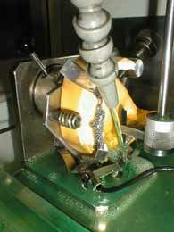 PIC00006_copia.JPG (9041 byte)